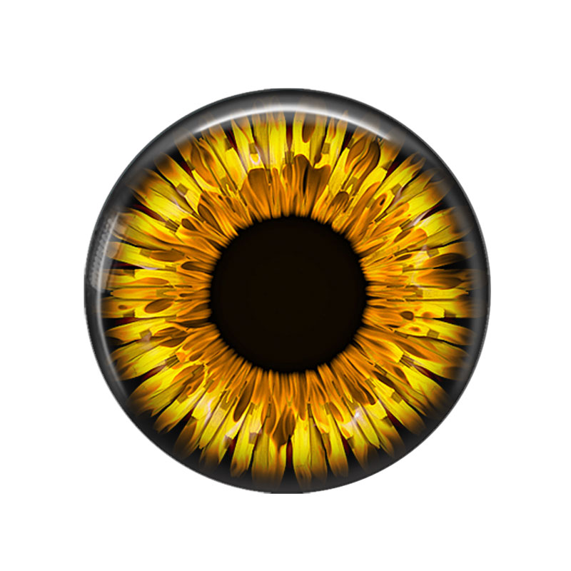 En París juguetes ojos dragón  - Jewelry Making Paris reseña y precio